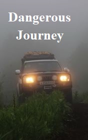Alwyn_Cox-Dangerous_Journey