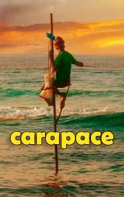 Romesh Gunesekera "Carapace"